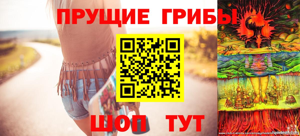 Галлюциногенные грибы GOLDEN TEACHER Мытищи