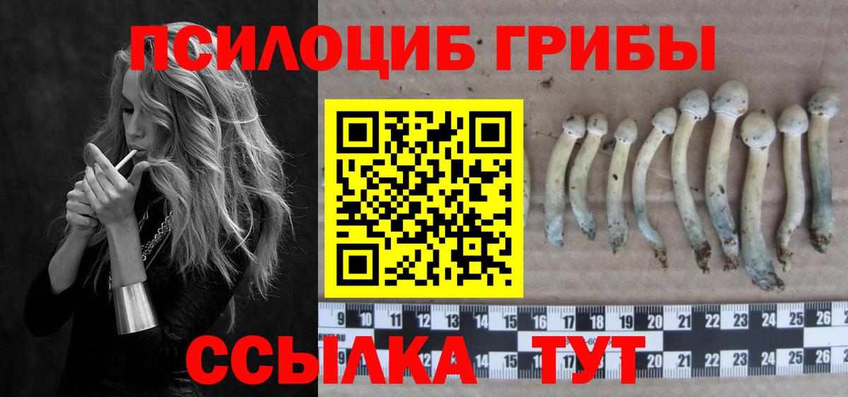 Псилоцибиновые грибы мицелий  Вход с VPN  наркошоп  Мытищи  Галлюциногенные грибы прущие грибы 